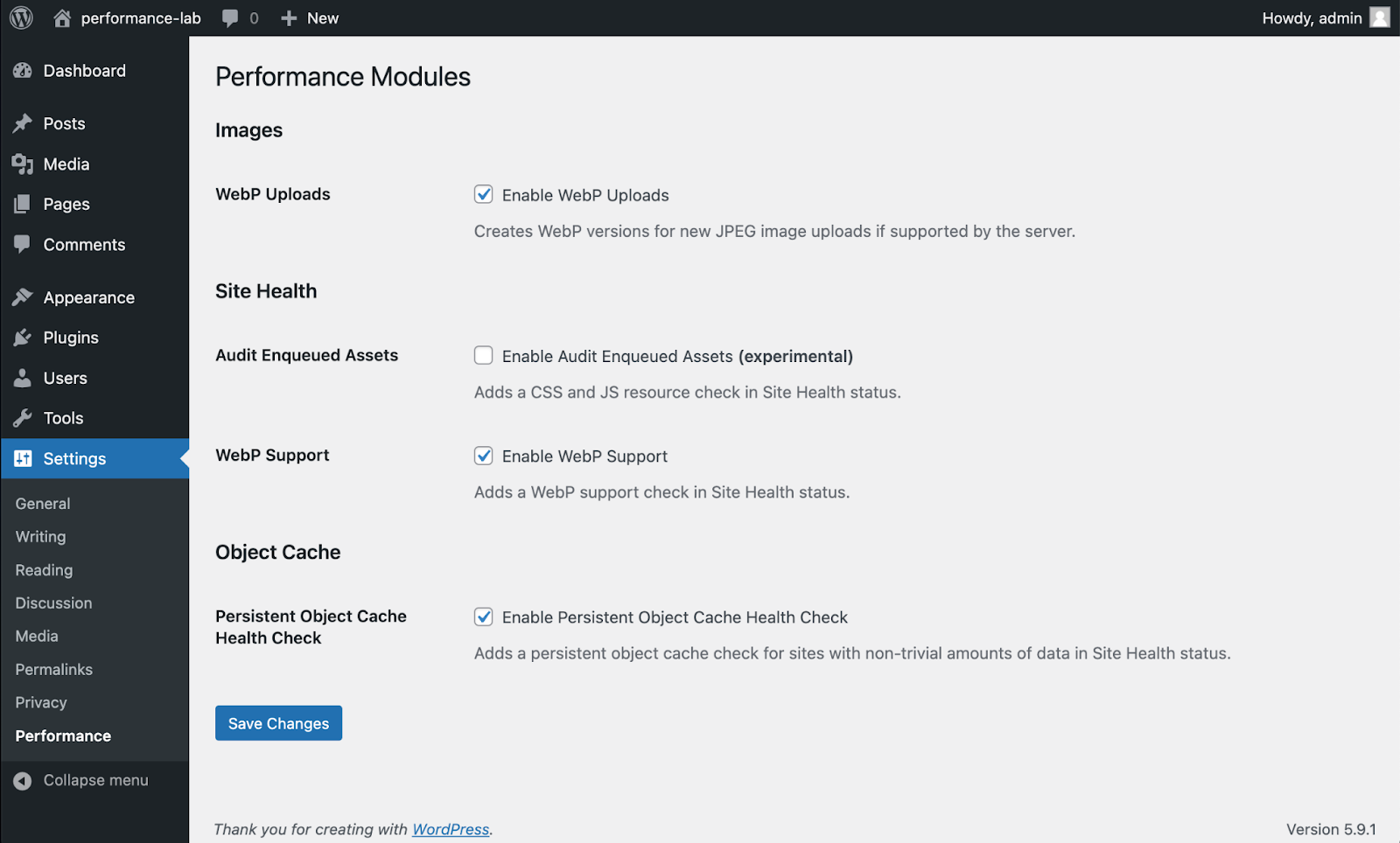 WordPress Performance Lab Plugin Interface